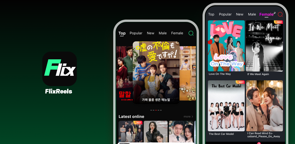 FlixReels App Preview